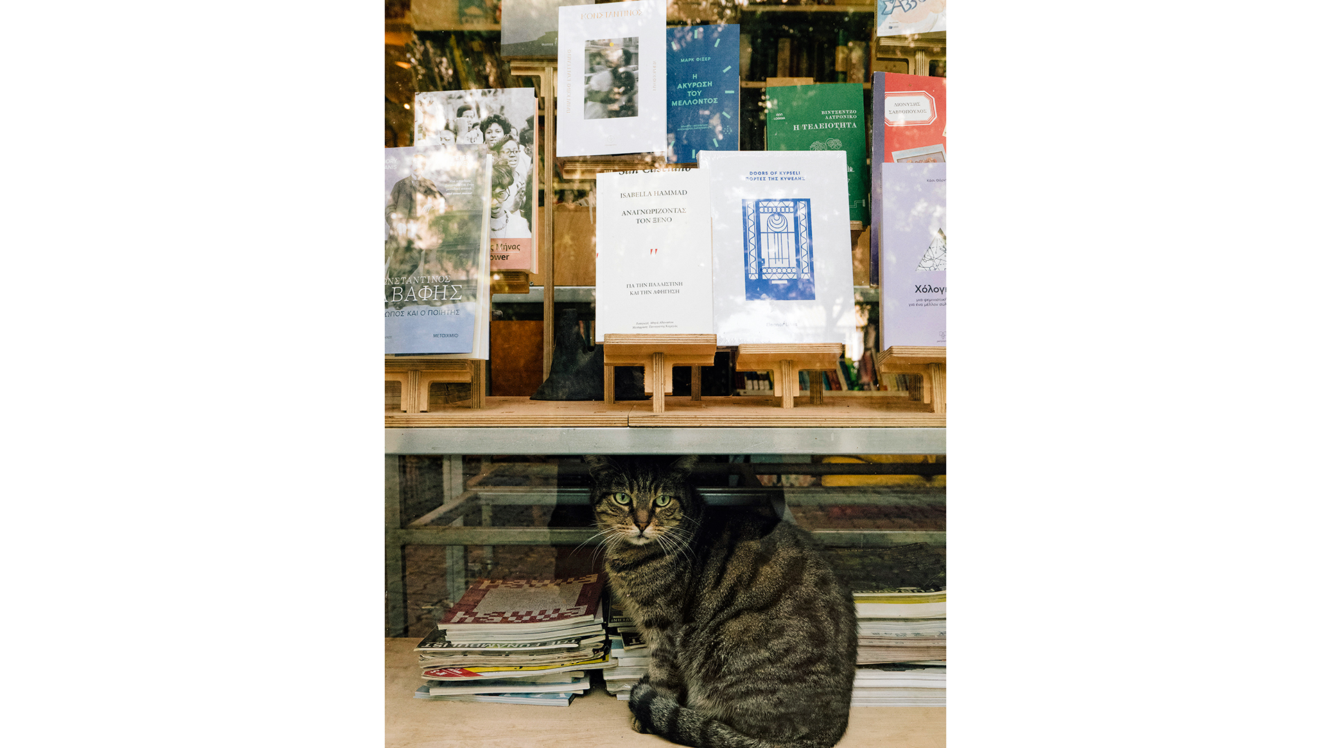 20-ελληνες-συγγραφείς-χαρίζουν-βιβλί-563966590