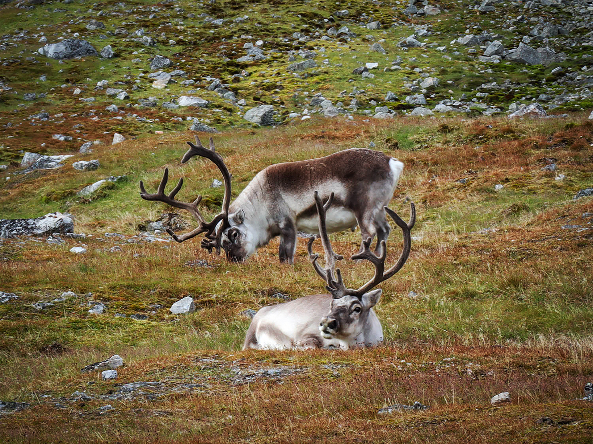 Ταξίδι στην άκρη της Γης-2