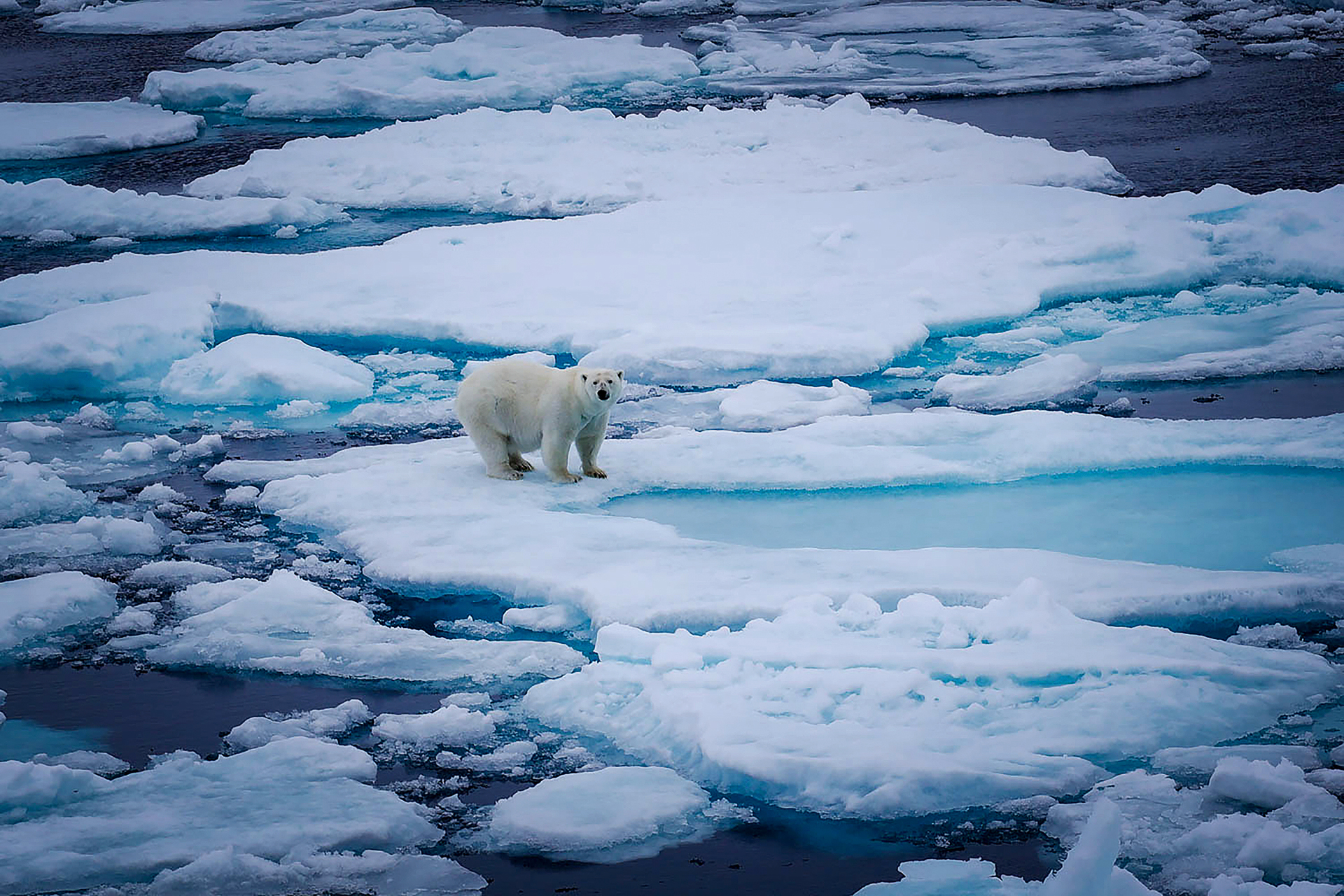 Ταξίδι στην άκρη της Γης-3
