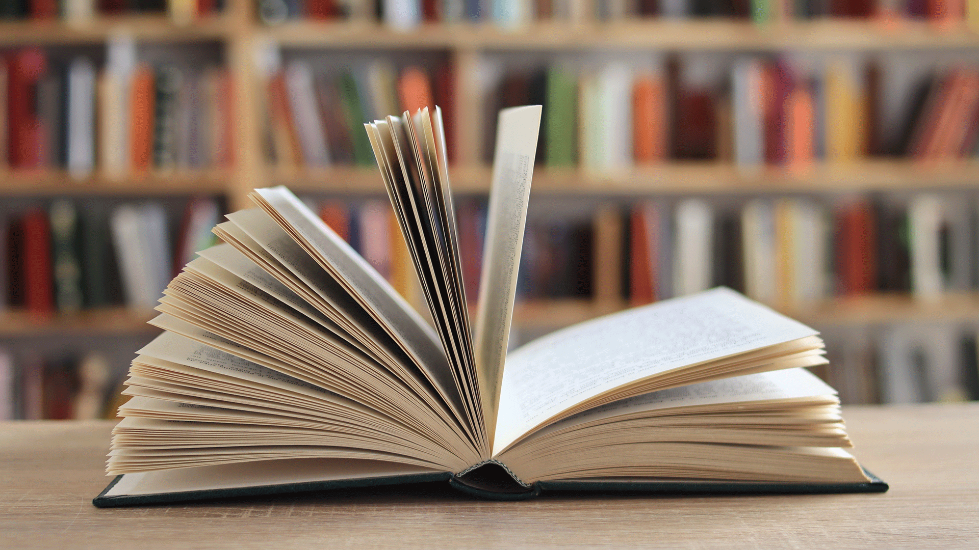 πτήσεις-πάνω-από-τη-νάουσα-ένα-βιβλί-563950600