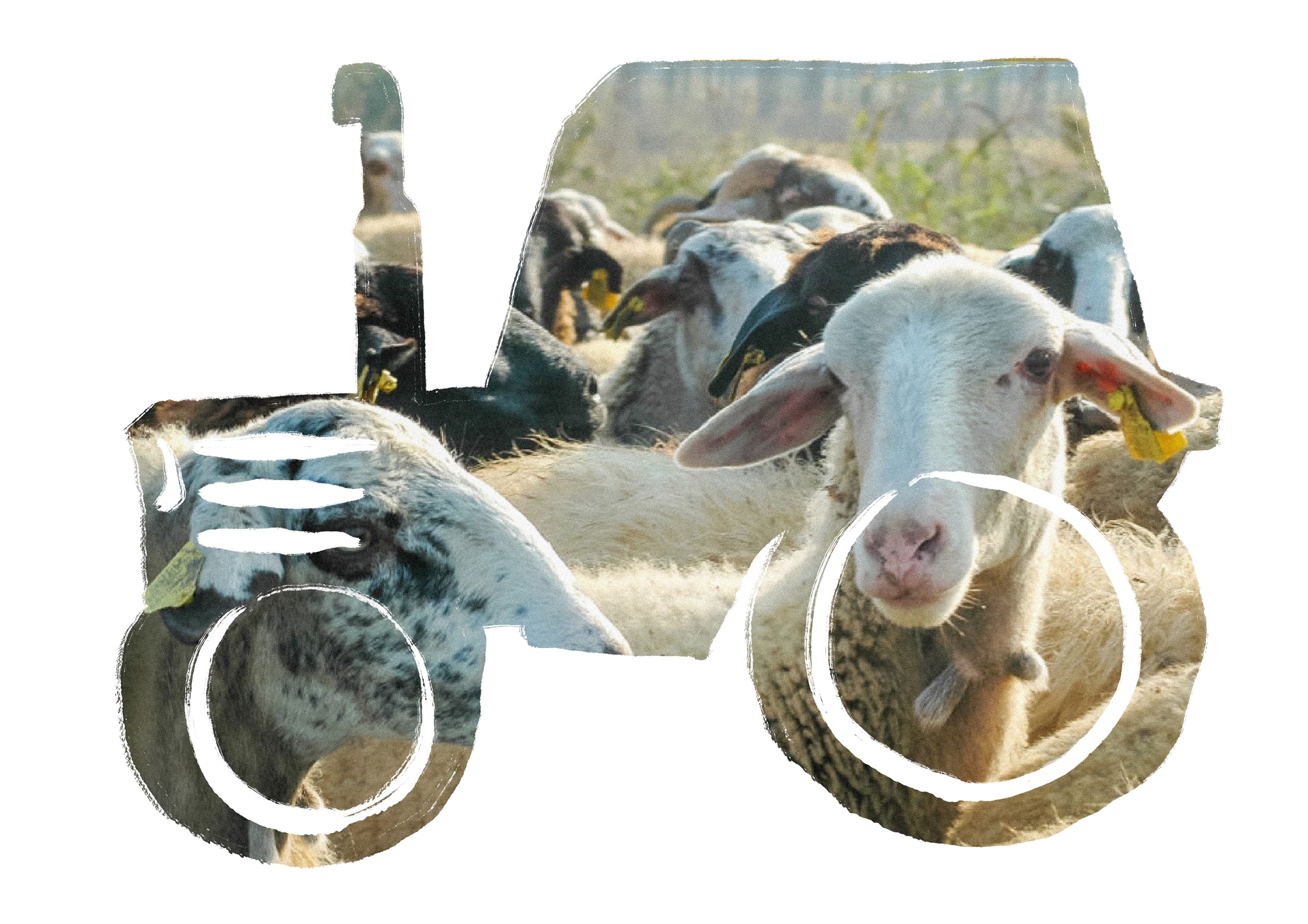 2000-2025: 10 πράγματα που άλλαξαν-3