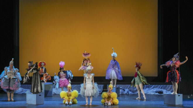 μια-μικρή-πάπια-που-κυνηγά-τα-όνειρά-τη-563968042