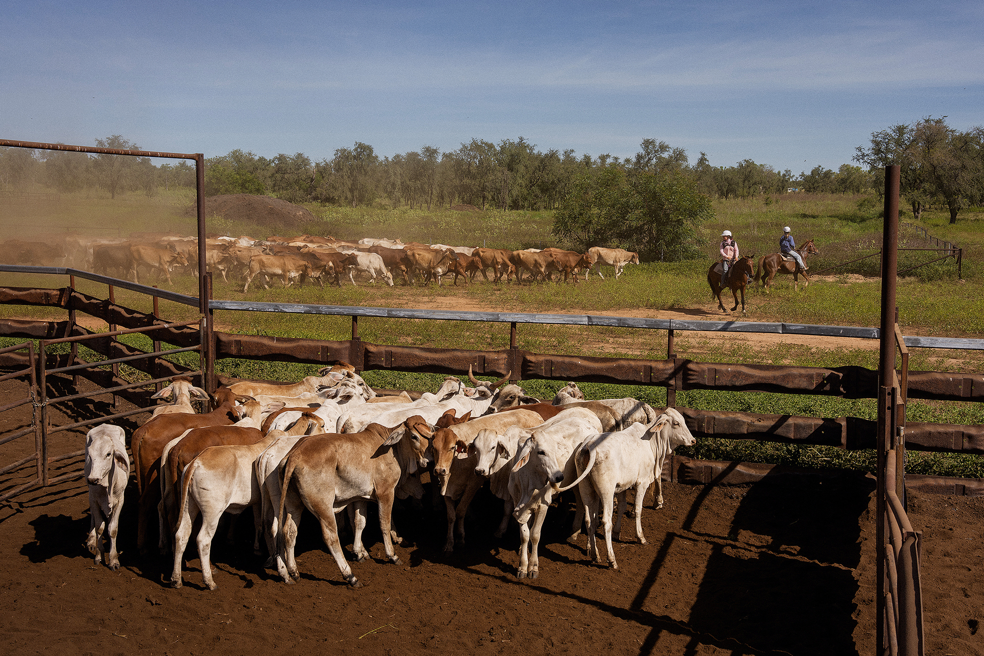 Γιατί οι ιερείς στην Αυστραλία έχουν δίπλωμα πιλότου-2