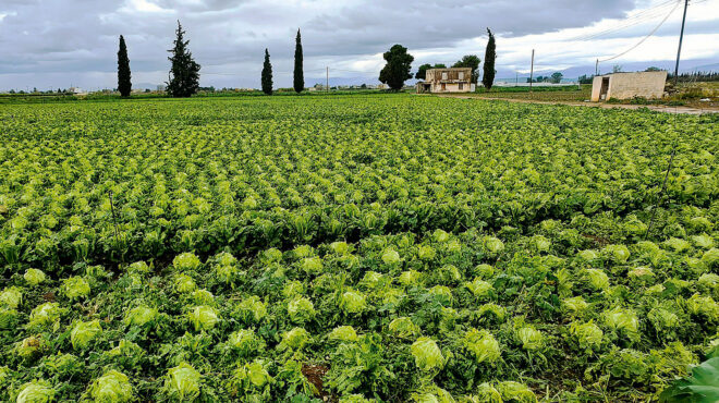 αρθρο-του-γιώργου-στούμπου-στην-κ-ας-563975590