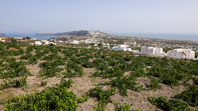 αρθρο-του-αρη-ικκου-στην-κ-διαχείρισ-563997103