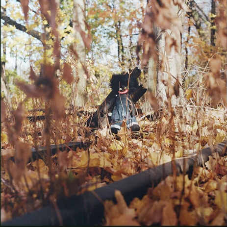 Τα κορυφαία άλμπουμ του 2025-10