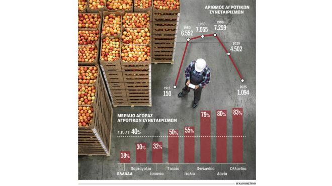 η-χαμένη-ευκαιρία-των-αγροτικών-συνετ-563975602