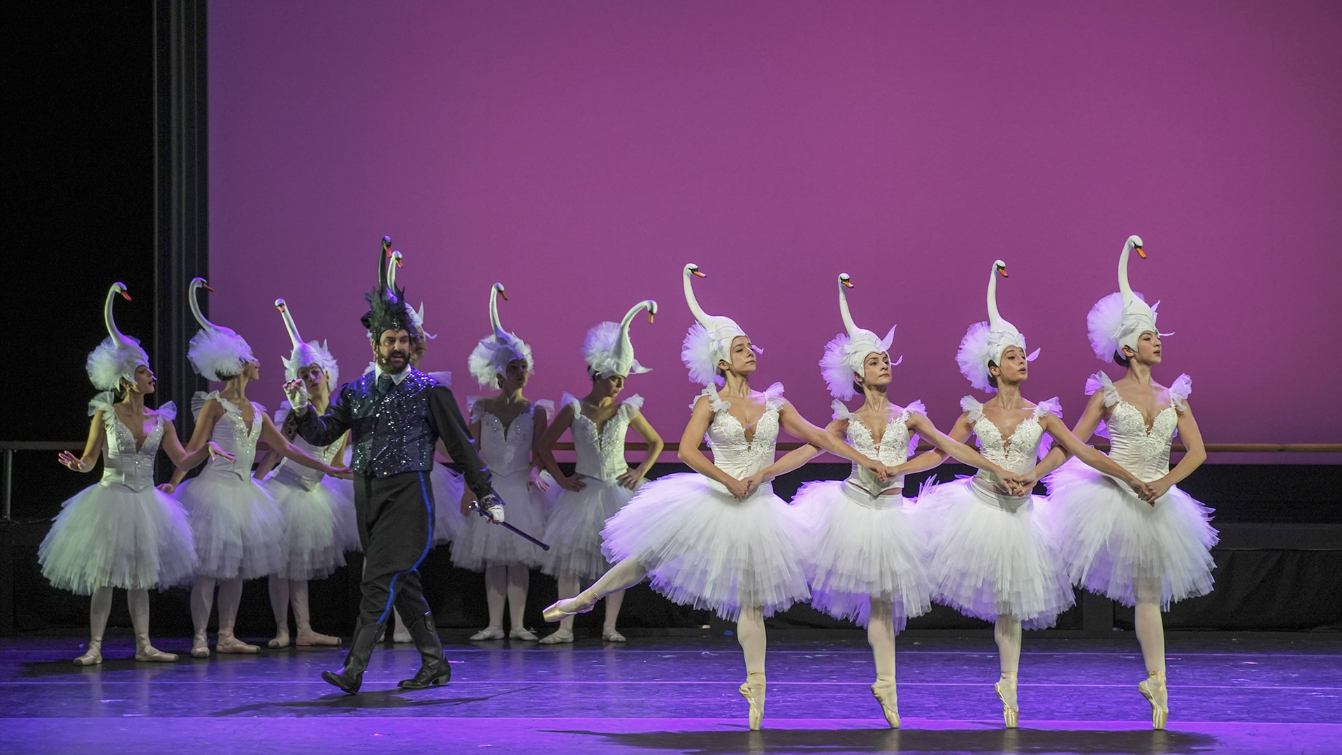 Μια μικρή πάπια που κυνηγά τα όνειρά της-1