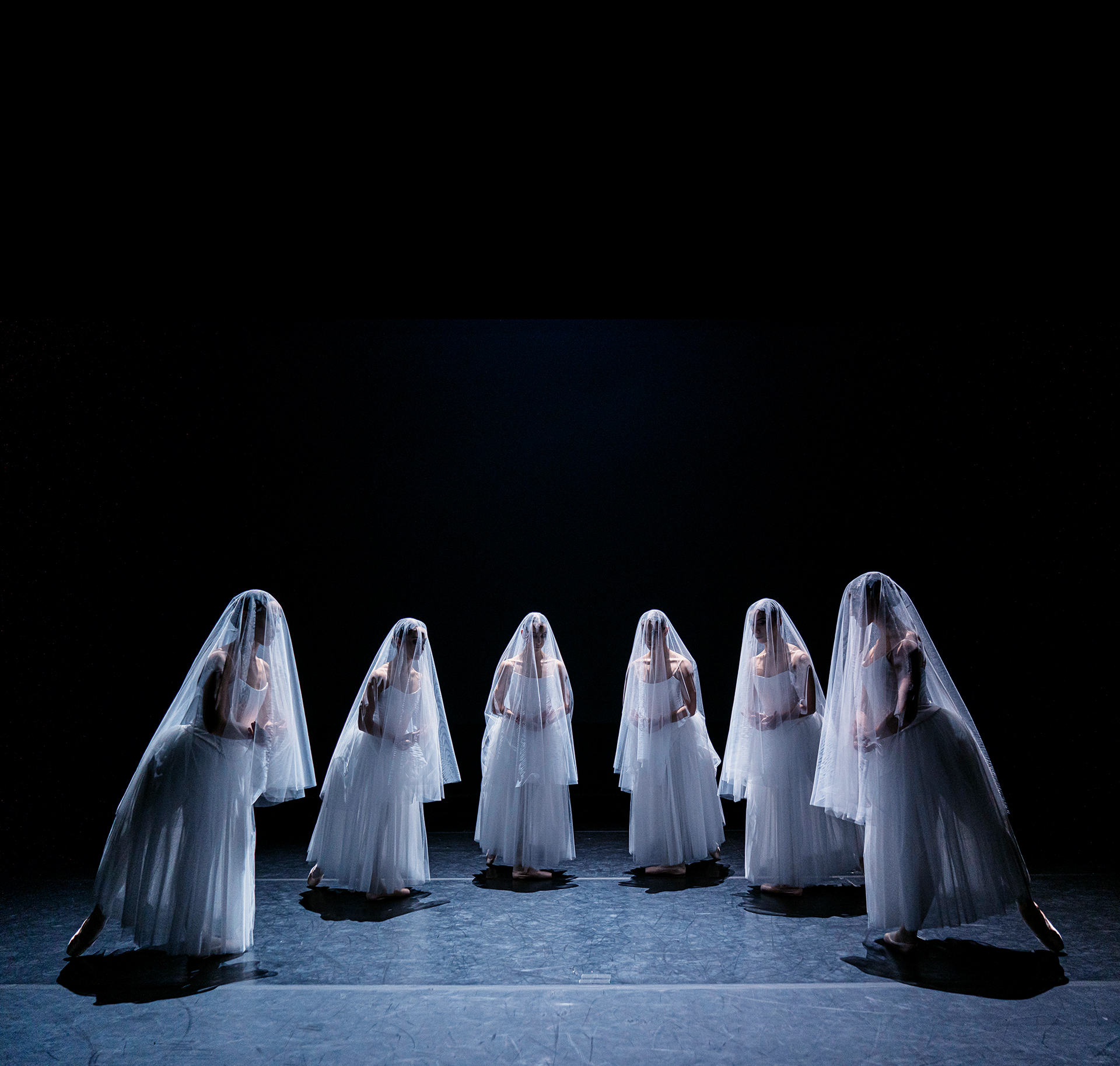 Ελίζαμπετ Τόνεφ, το νέο αστέρι του μπαλέτου-3