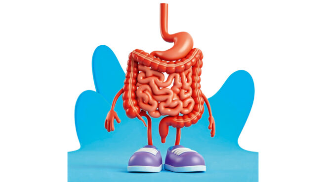 πώς-το-υγιές-έντερο-κάνει-καλό-στην-αρτ-564000541