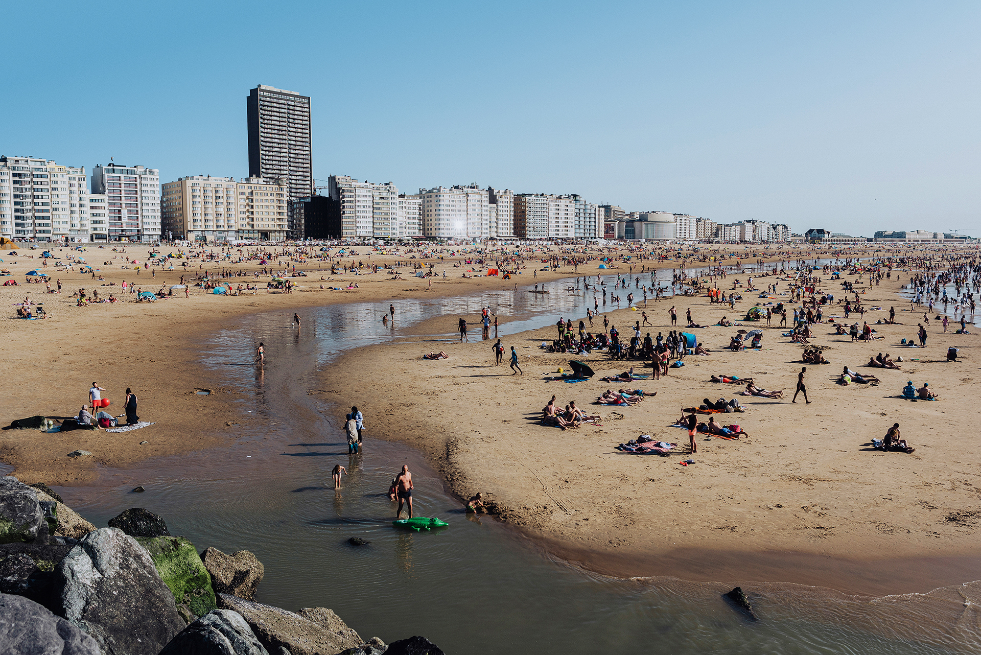Εσείς γνωρίζατε ότι υπάρχουν έφιπποι ψαράδες;-3