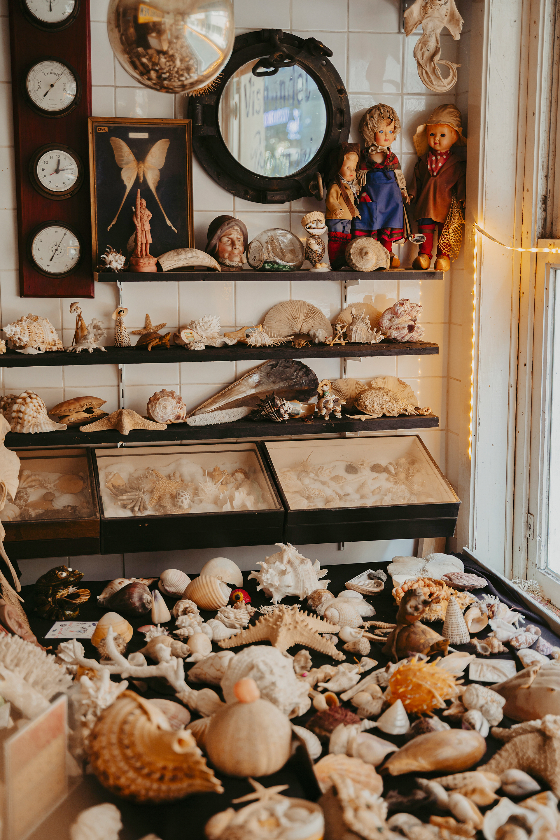 Εσείς γνωρίζατε ότι υπάρχουν έφιπποι ψαράδες;-8