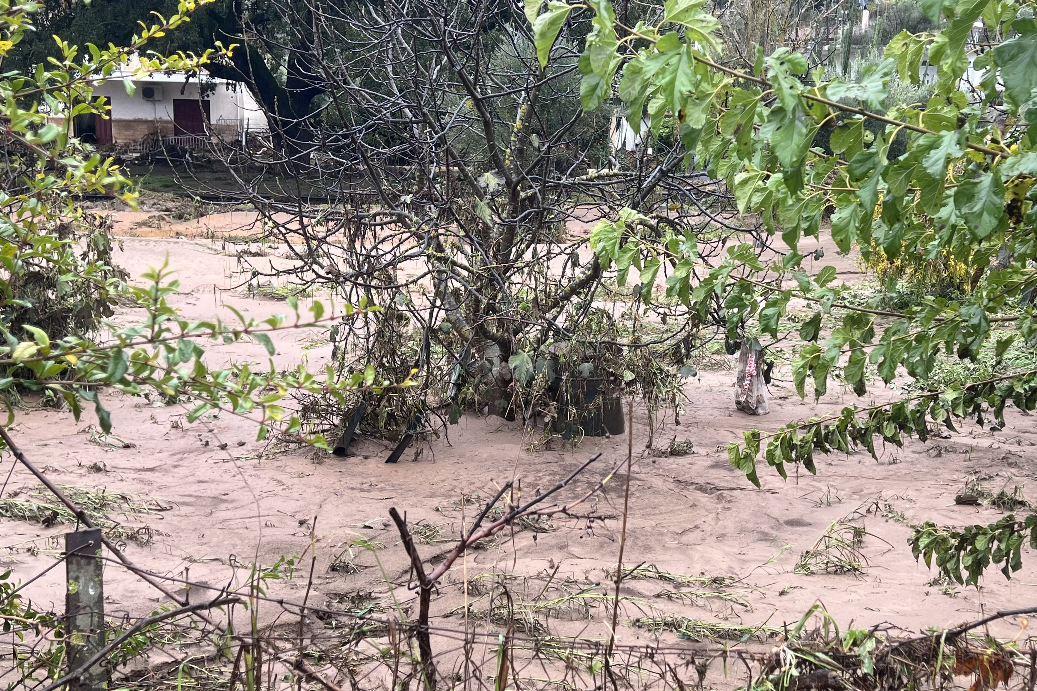 Εικόνες από το πέρασμα της κακοκαιρίας Byron-8