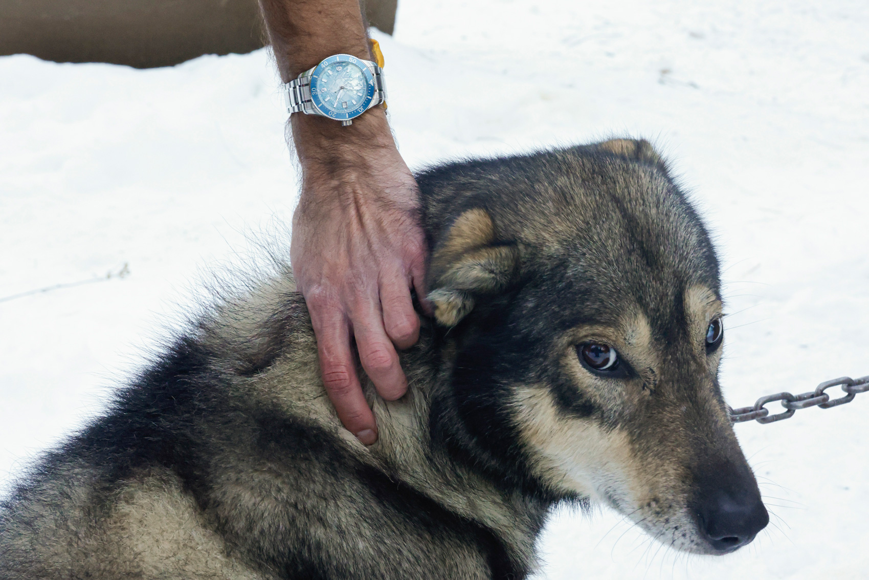 Στο Mont-Blanc… με τη Montblanc-2