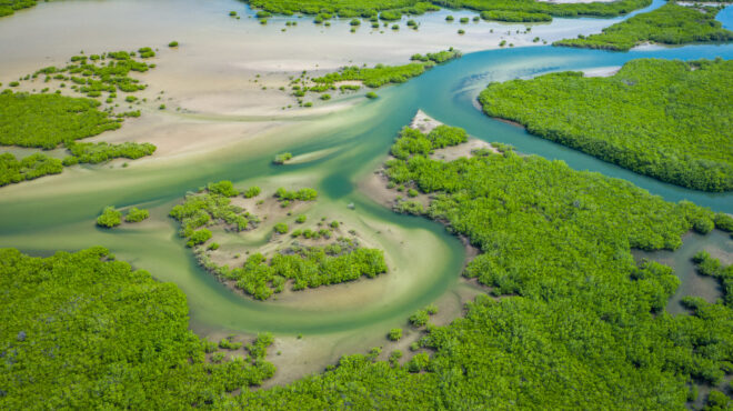 σενεγάλη-τουλάχιστον-12-νεκροί-από-ανατ-563993914