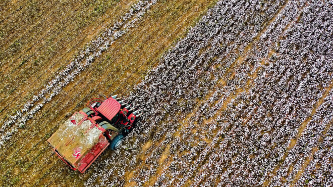 οπεκεπε-εγραφαν-και-έσβηναν-χωράφια-α-563987461
