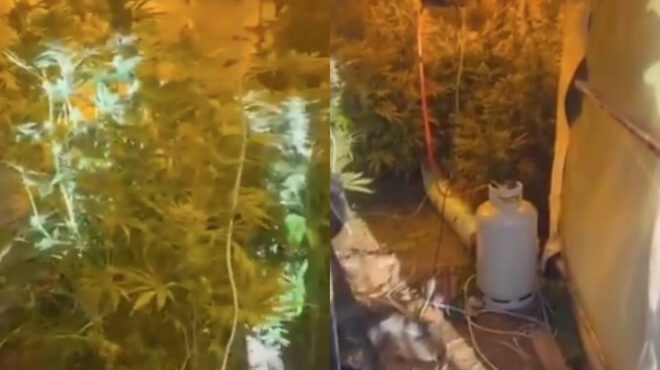 ρόδος-πώς-δρούσε-η-σπείρα-που-διακινού-564023017