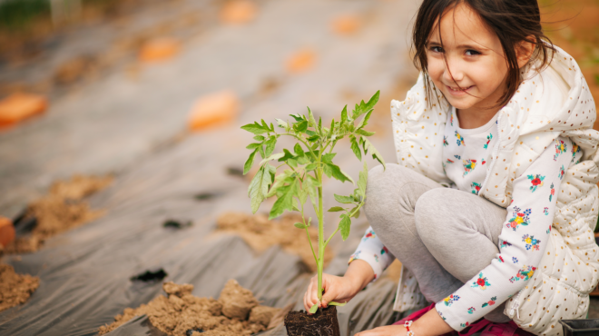 nn-hellas-συνεχής-φροντίδα-για-την-κοινωνία-564011032