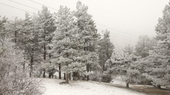 στα-λευκά-η-πάρνηθα-χιόνια-σε-ηπειρο-564017509