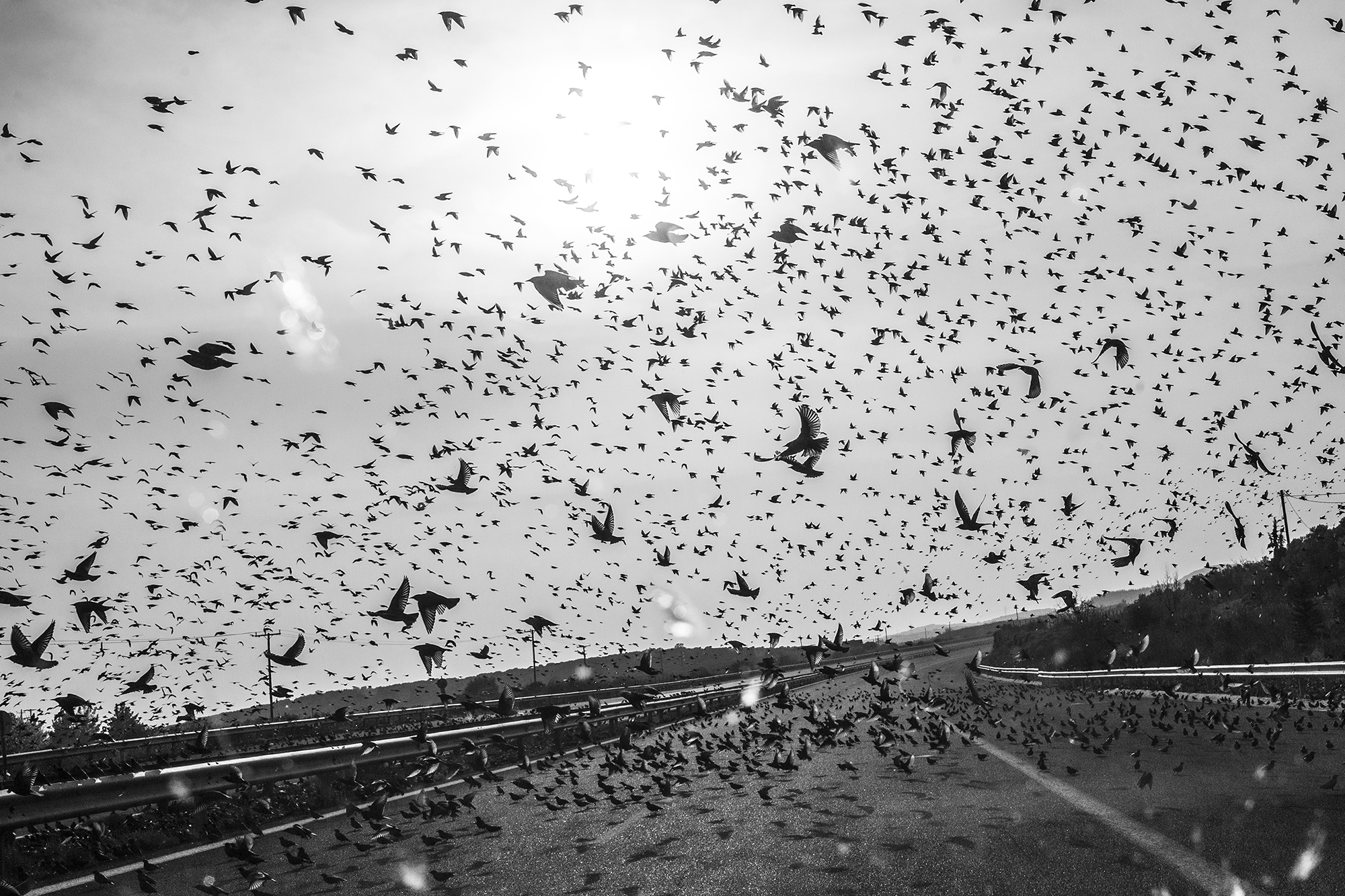 Ζωές στις όχθες: Το οδοιπορικό ενός φωτογράφου στον Εβρο-8