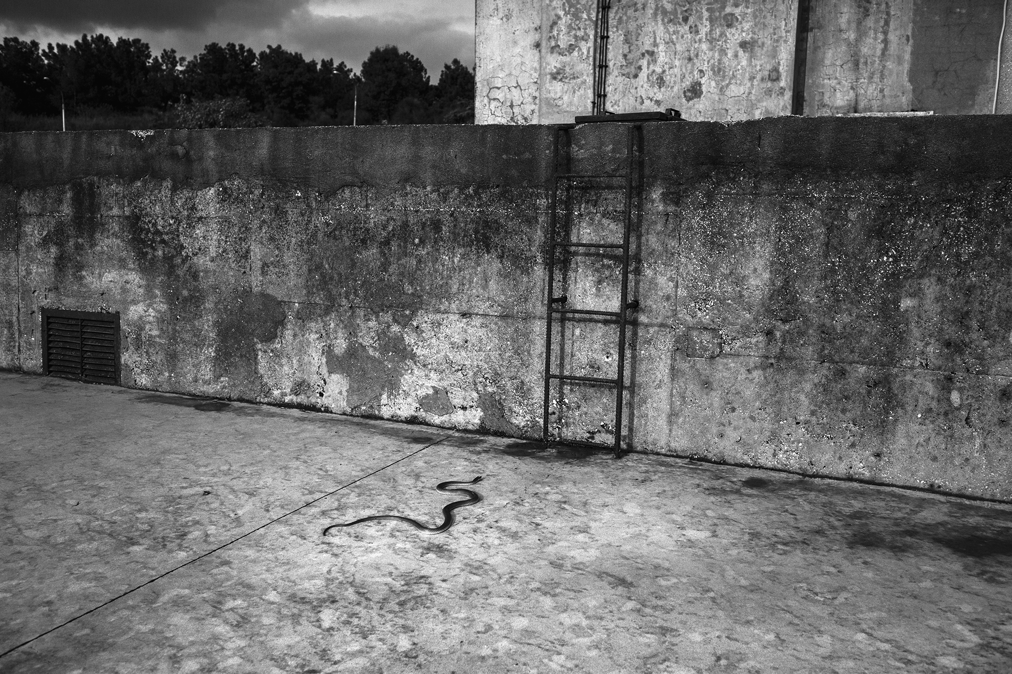 Ζωές στις όχθες: Το οδοιπορικό ενός φωτογράφου στον Εβρο-5