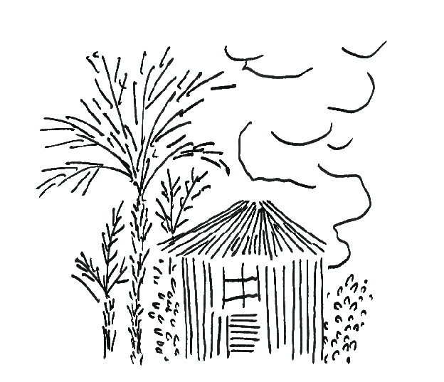 «Μας πήρε το πατάκι, το κροκί!»-4