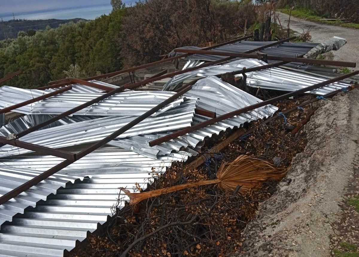 Μόλις είχε ορθοποδήσει από τη φωτιά, καταστράφηκε από την κακοκαιρία-3