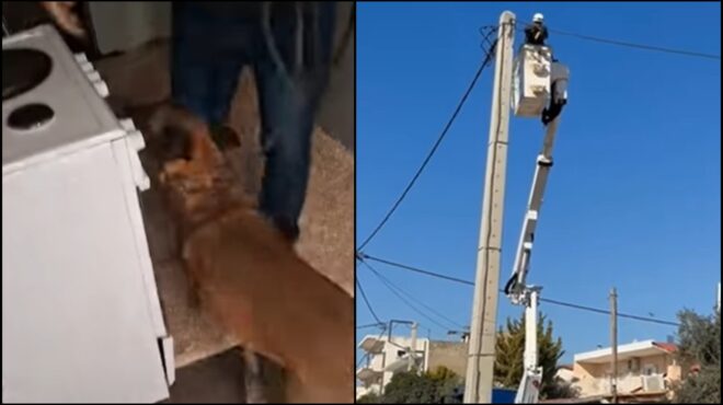 επιχείρηση-της-ελ-ασ-στο-μενίδι-εκλεβα-564023515