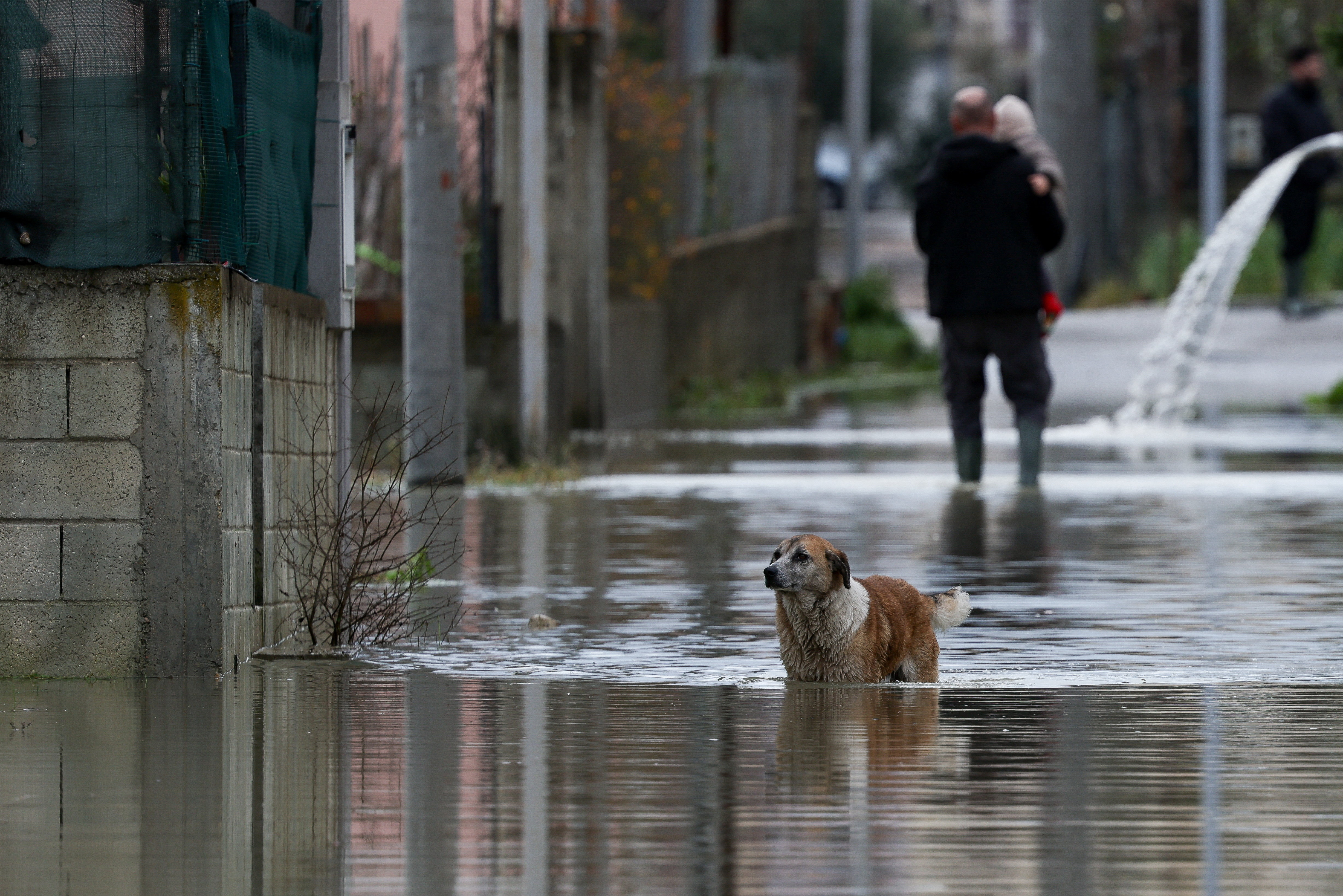 Η κακοκαιρία σάρωσε την Αλβανία – Ενας νεκρός στο Δυρράχιο [εικόνες]-3