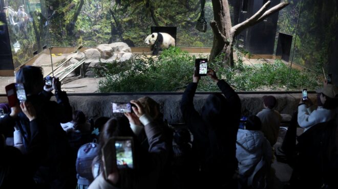 τόκιο-αποχαιρετισμός-στα-πάντα-με-δάκ-564041875