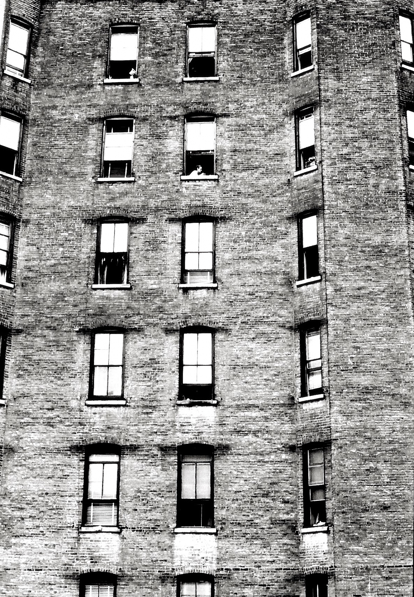 Πιτ Μαρίφογλου: Ο Αντι Γουόρχολ και οι ταινίες του ’70-3