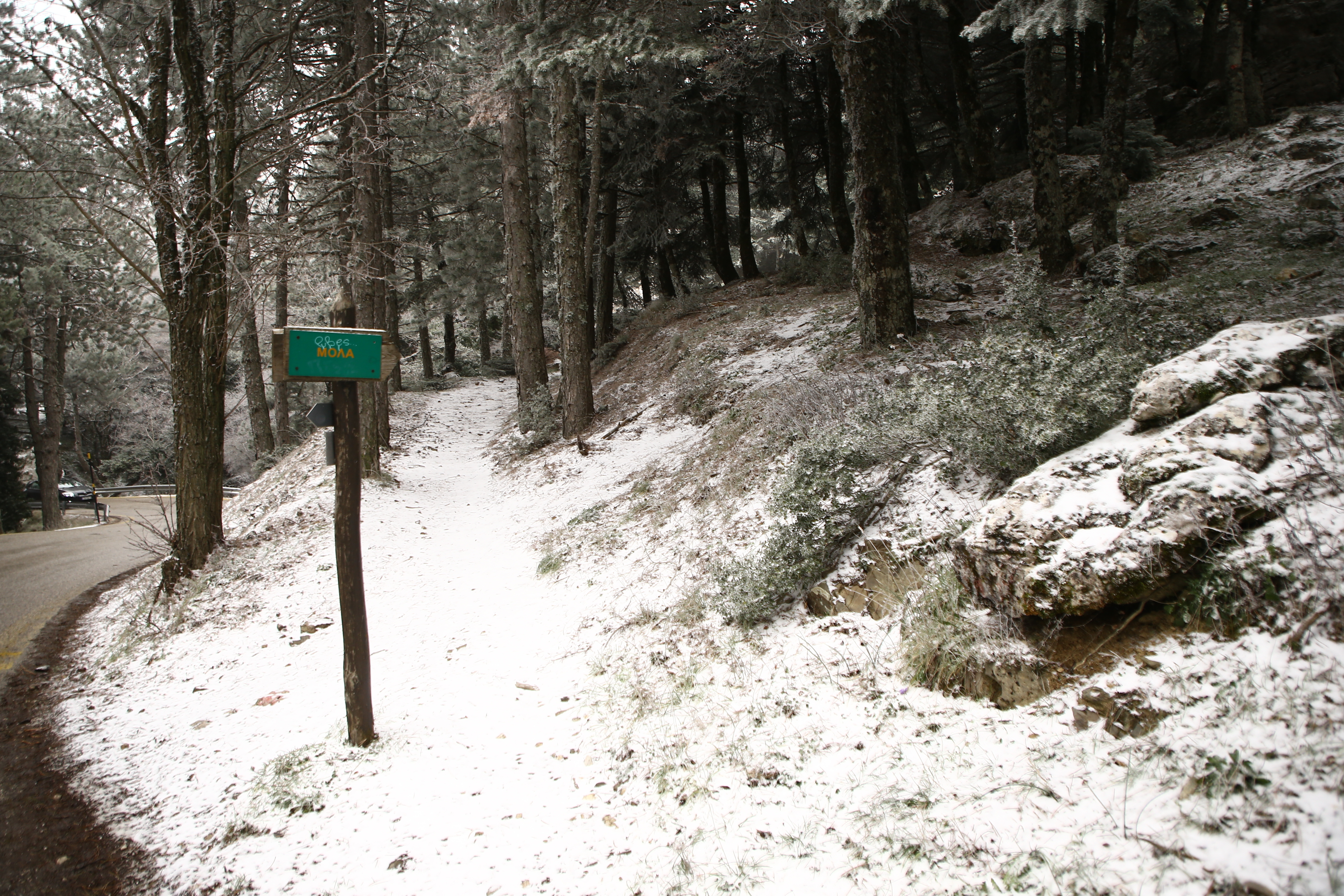 Στα λευκά η Πάρνηθα – Χιόνια σε Ηπειρο, Πελοπόννησο και Κρήτη [εικόνες-βίντεο]-2