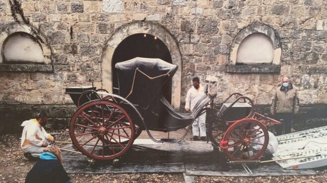 τατόι-οι-γρίφοι-της-συντήρησης-564029674