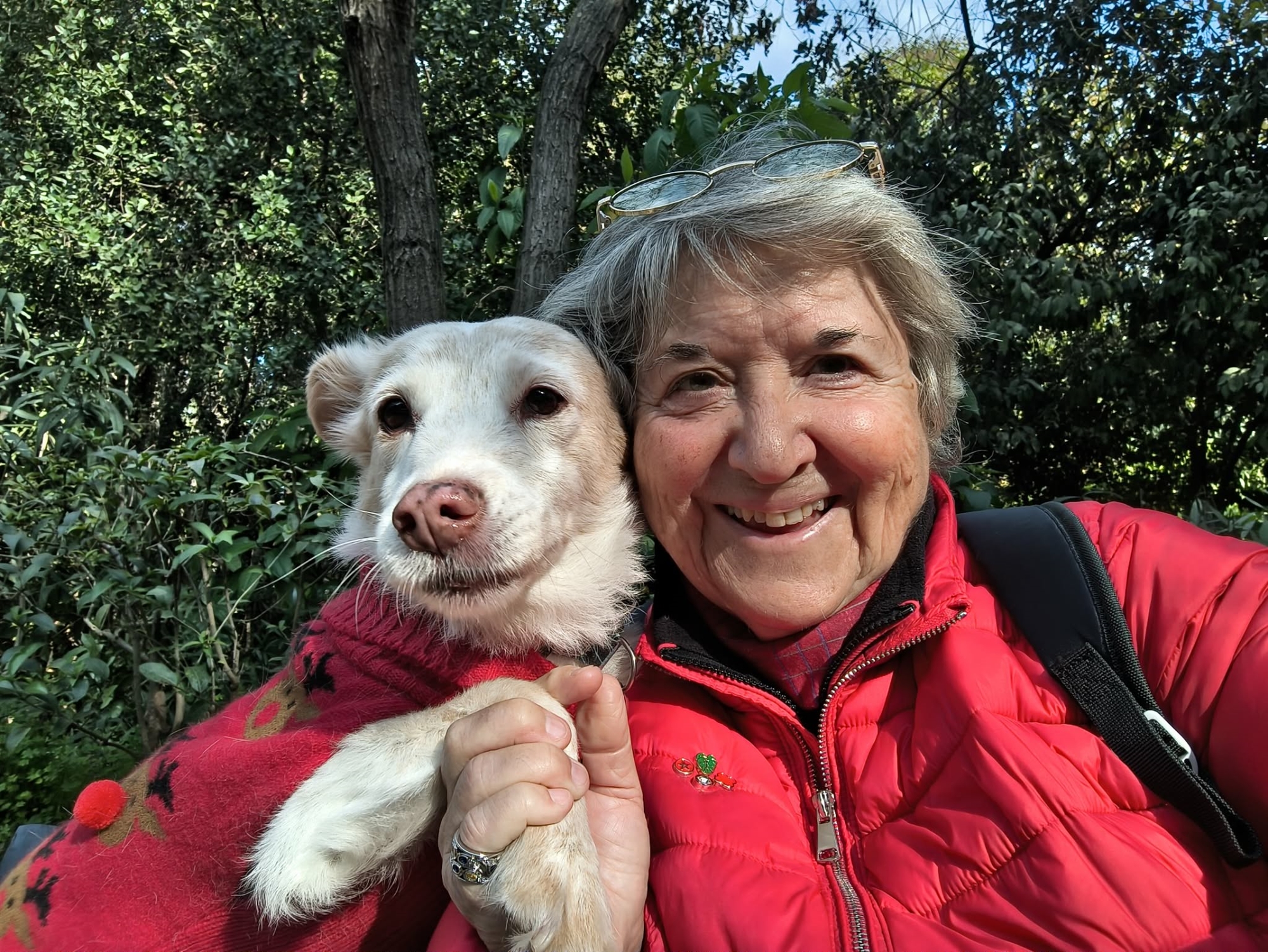 Ηλικιωμένοι, αλλά όχι γέροι – Το «αντίδοτο» για τα γηρατειά είναι στα απλά, στα καθημερινά-2