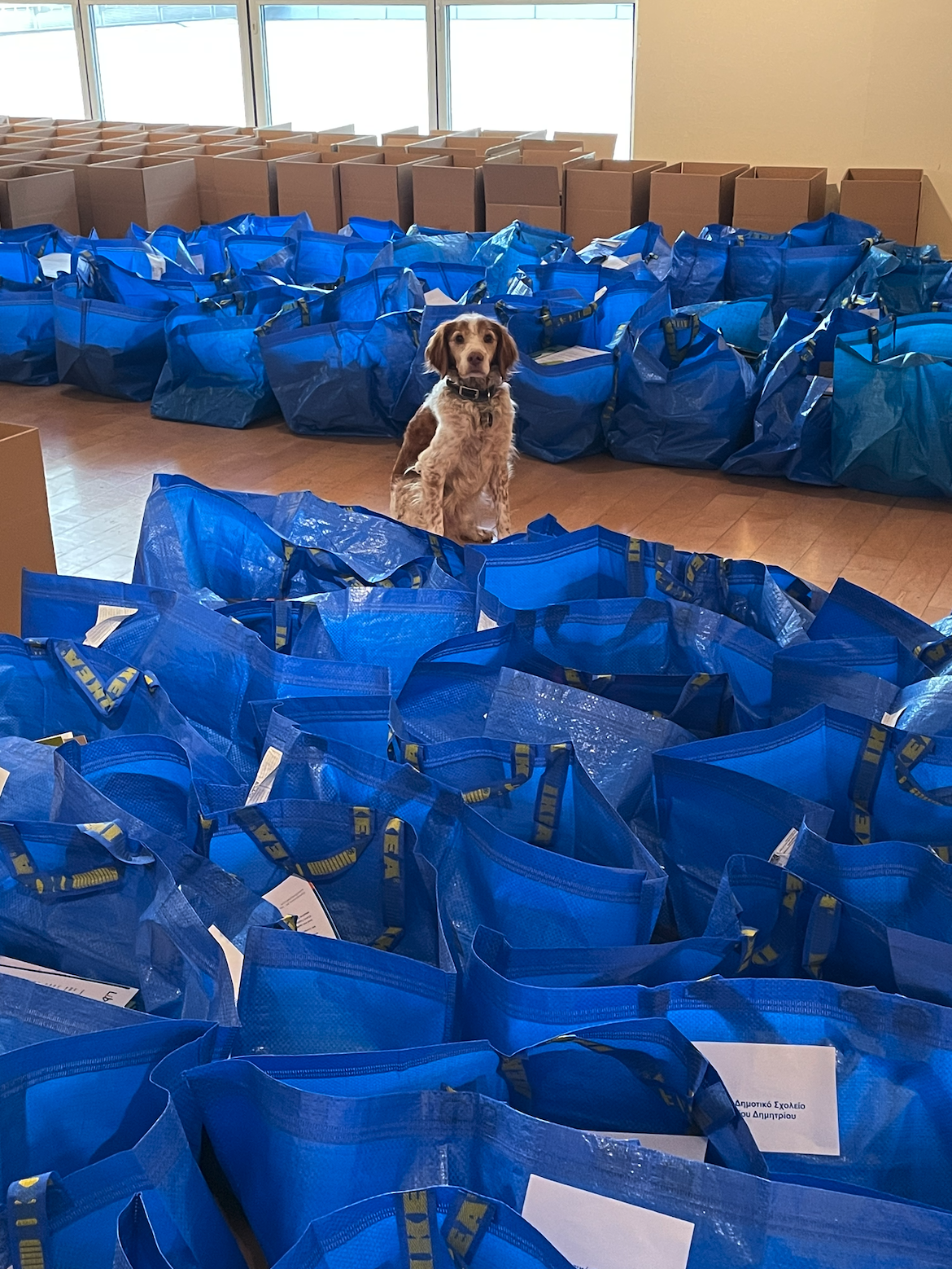 Library4all, μια αγκαλιά βιβλία για τα παιδιά των νηπιαγωγείων και των δημοτικών-1