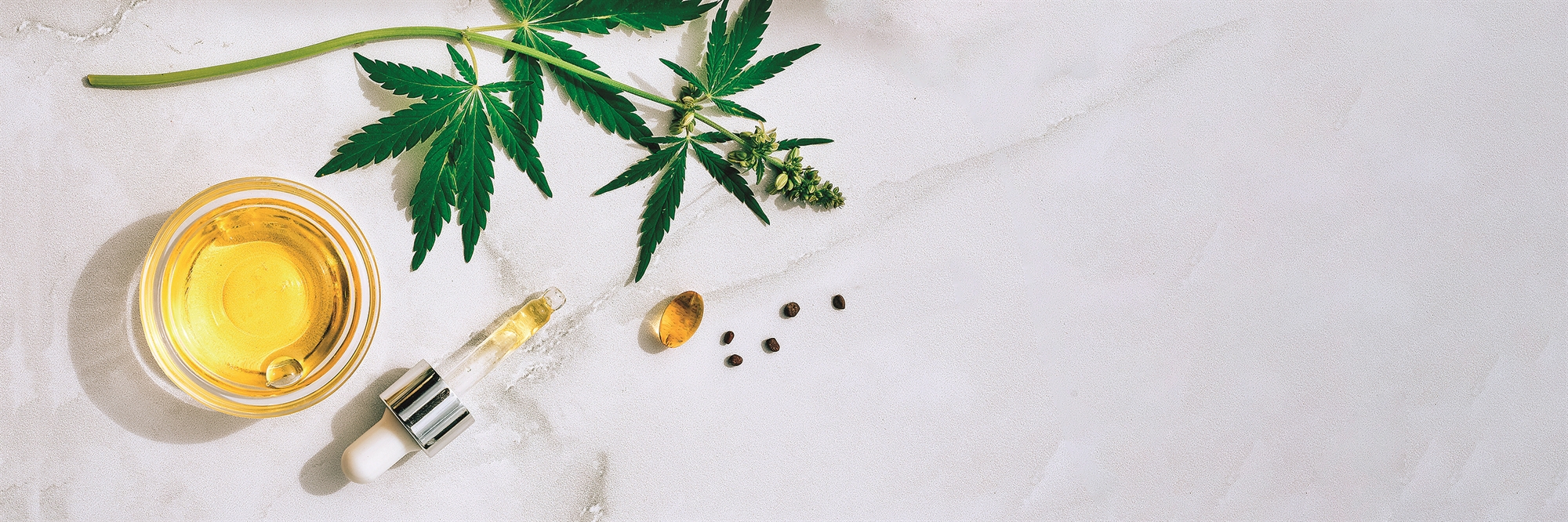 Γήρανση και χρήση κάνναβης: Ανακούφιση ή κίνδυνος;-1