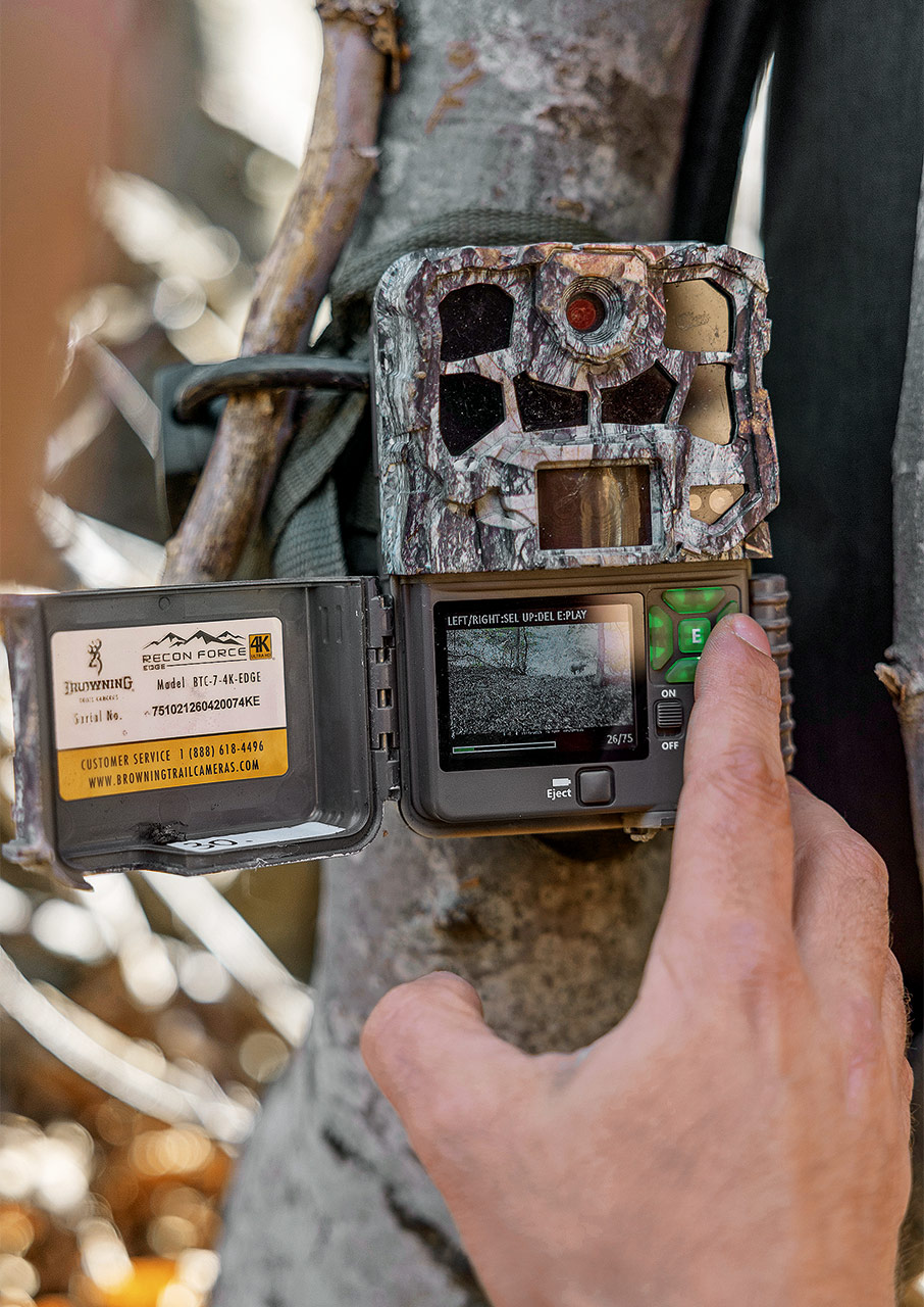 Μαζί με τις αρκούδες και τους λύκους του Νυμφαίου-4