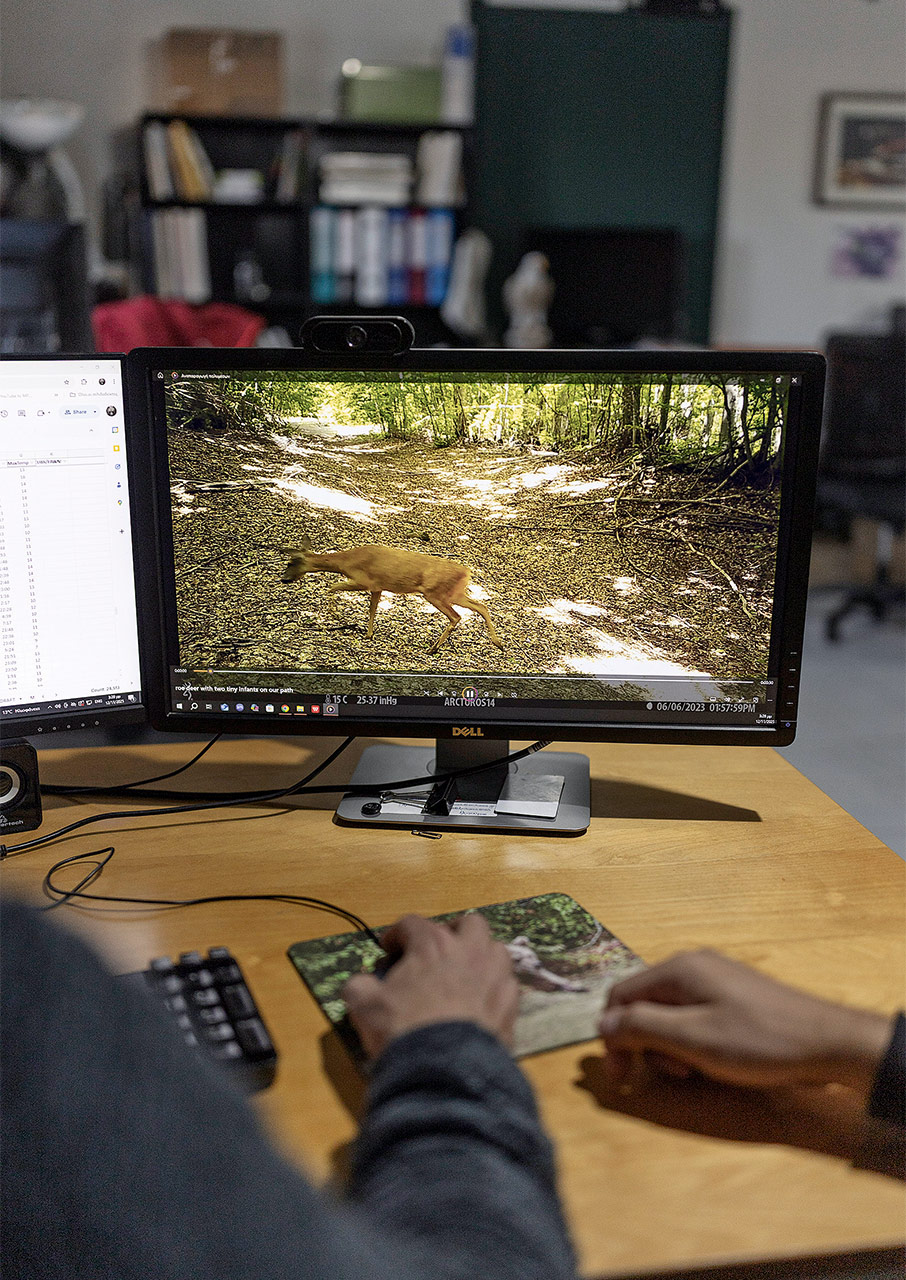Μαζί με τις αρκούδες και τους λύκους του Νυμφαίου-3