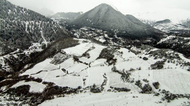 στους-χιονισμένους-αμπελώνες-του-μετ-564022720