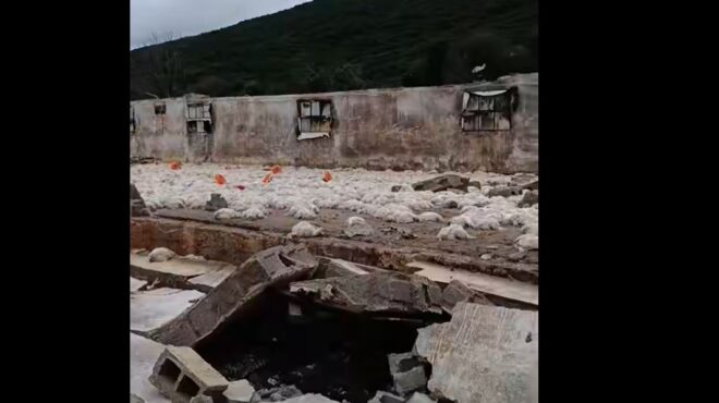 ιωάννινα-ανεμοστρόβιλος-στο-καλπάκι-564010774