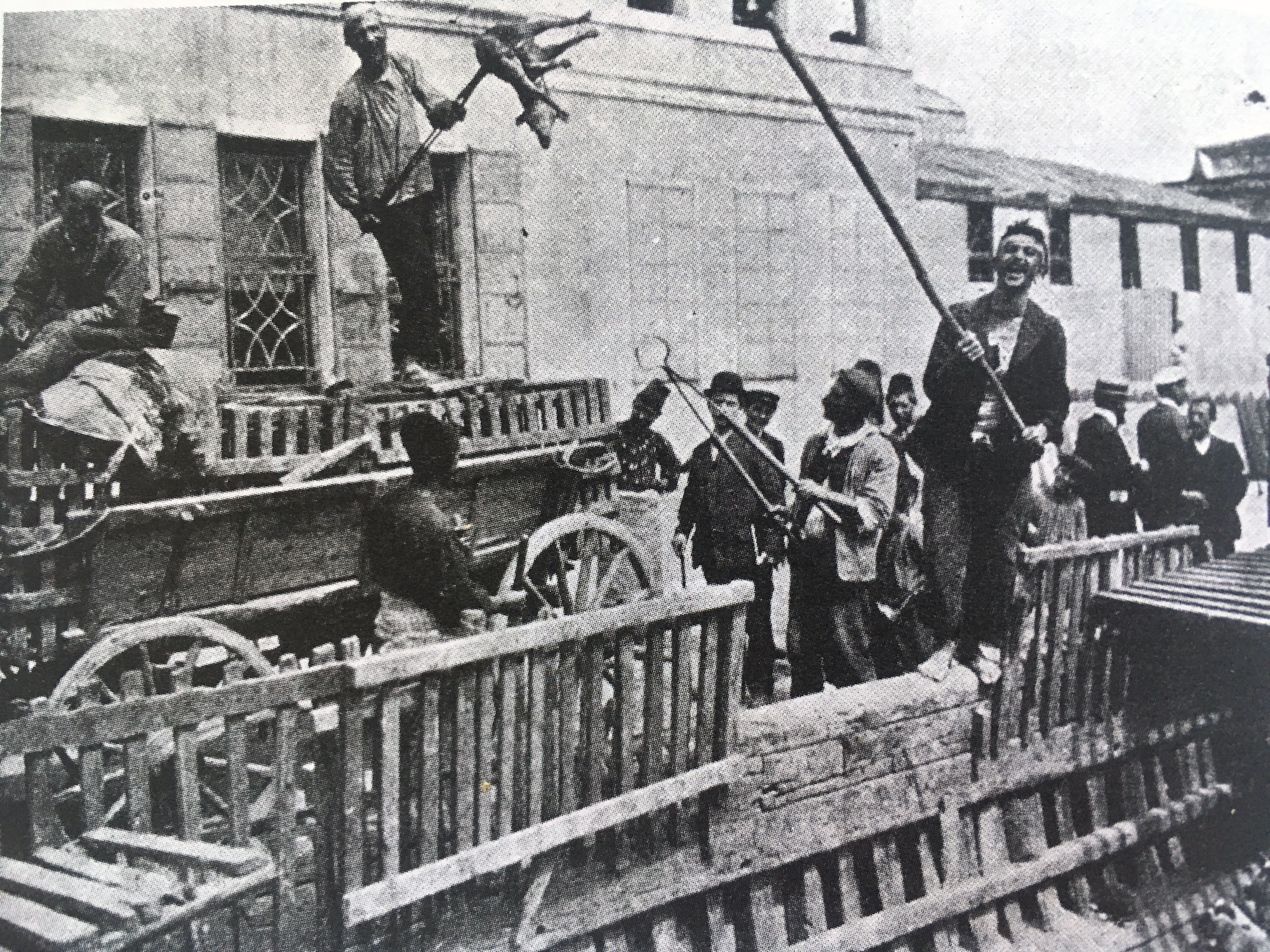 Οι πόλεις δεν ανήκουν μόνο στους ανθρώπους αλλά και στα ζώα τους-2