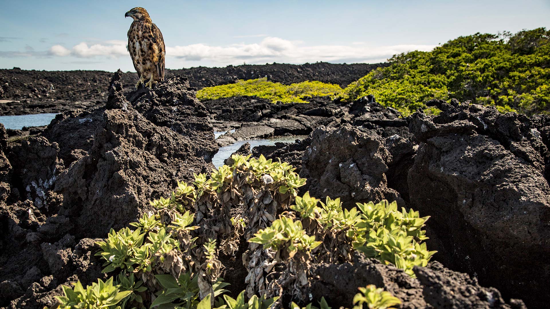 Ανακαλύπτοντας το «άγνωστο» Εκουαδόρ, τη μικρή χώρα με τη μεγάλη ψυχή-3