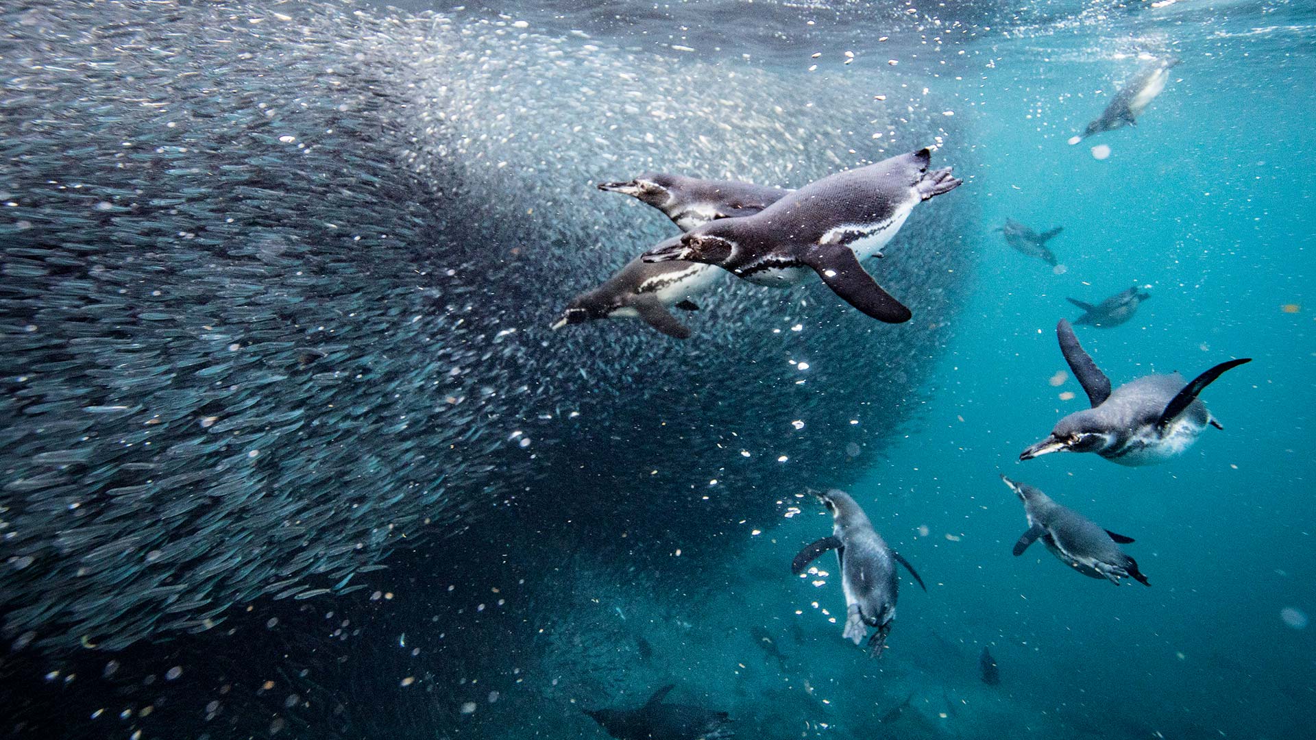 Ανακαλύπτοντας το «άγνωστο» Εκουαδόρ, τη μικρή χώρα με τη μεγάλη ψυχή-2