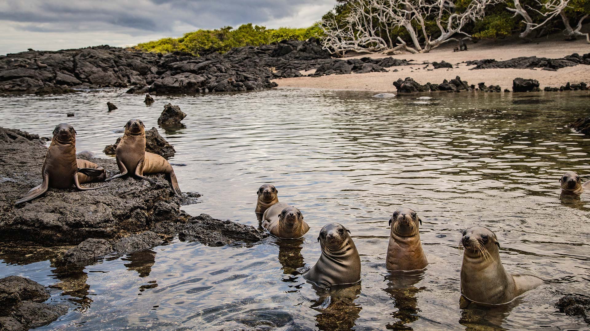 Ανακαλύπτοντας το «άγνωστο» Εκουαδόρ, τη μικρή χώρα με τη μεγάλη ψυχή-10