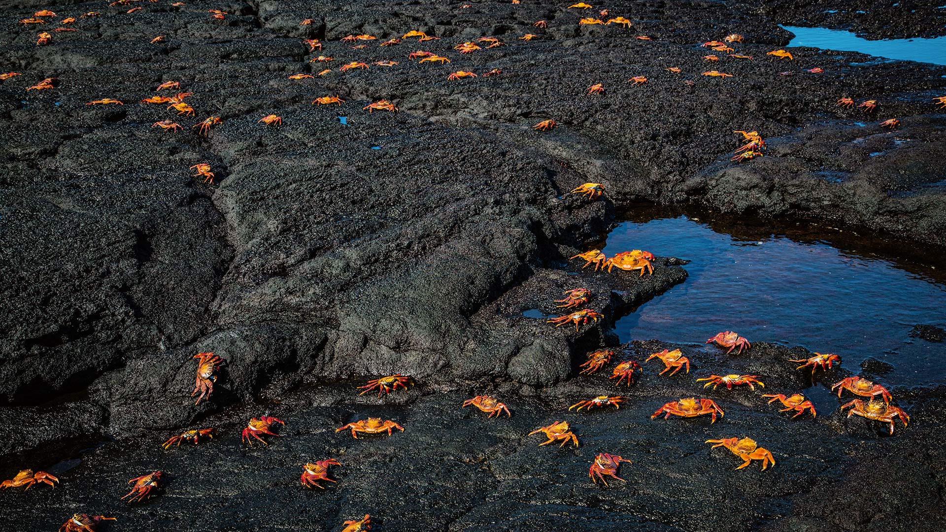 Ανακαλύπτοντας το «άγνωστο» Εκουαδόρ, τη μικρή χώρα με τη μεγάλη ψυχή-12