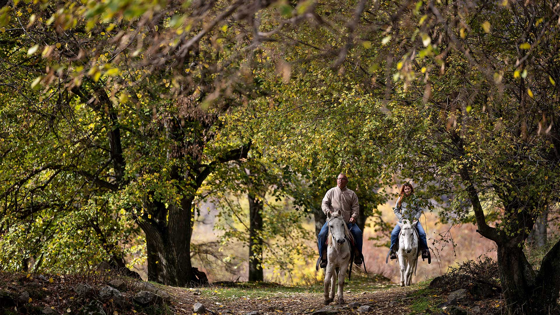 Μαζί με τις αρκούδες και τους λύκους του Νυμφαίου-9