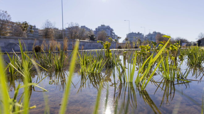 παραδόθηκε-ο-αναπλασμένος-ιαπωνικός-564036232