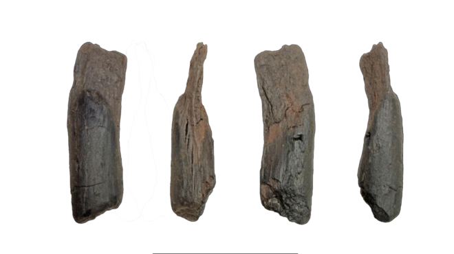 προσωρινή-στέγη-για-τις-αρχαιότητες-τ-564043648