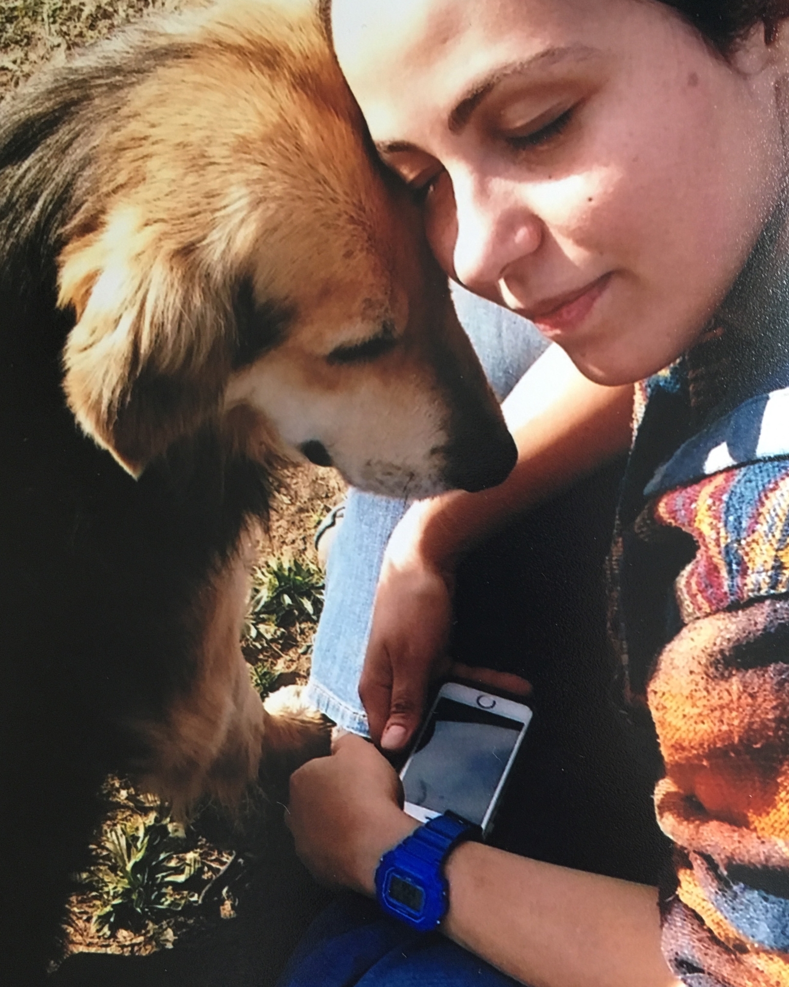 Οι πόλεις δεν ανήκουν μόνο στους ανθρώπους αλλά και στα ζώα τους-3