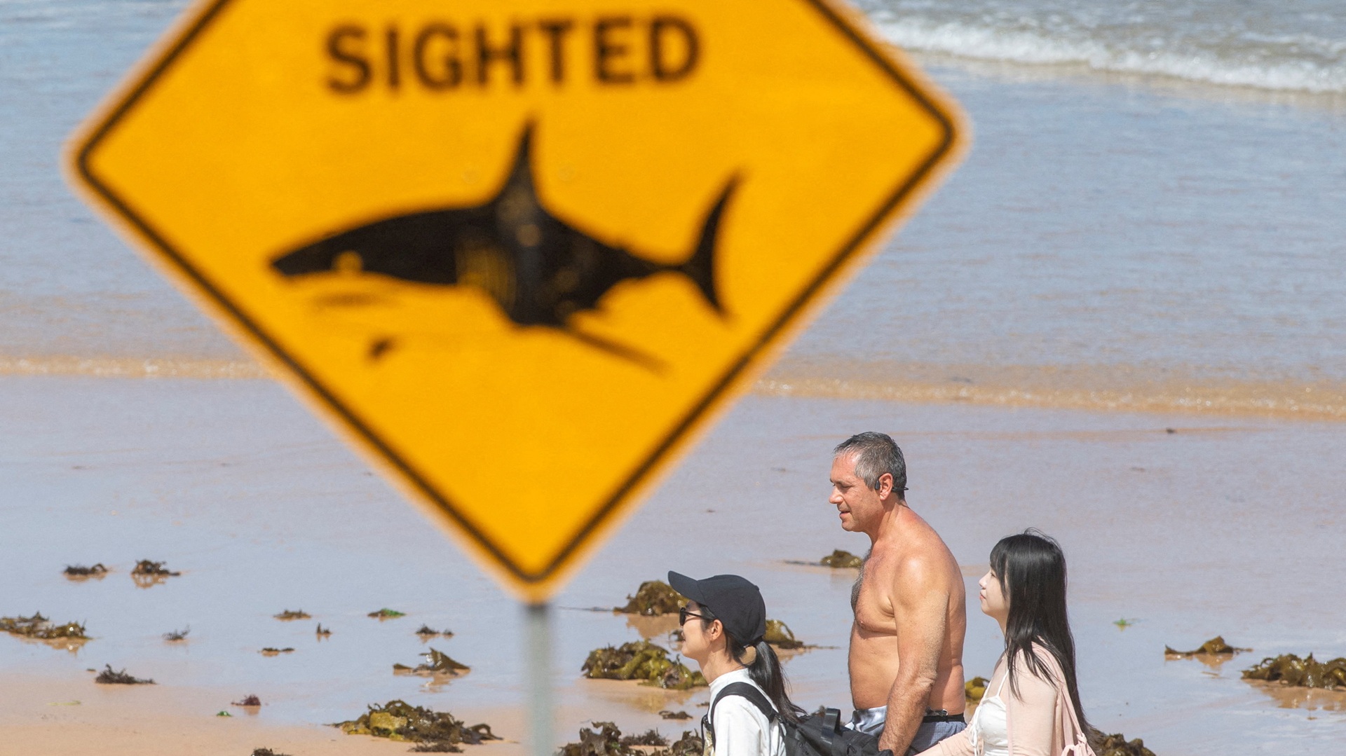 Αυστραλία: Υστερα από τέσσερις επιθέσεις καρχαριών σε 48 ώρες, οι Αρχές έκλεισαν δεκάδες πλαζ-1